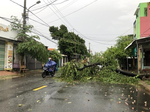 Khu vuc dong bang va ven bien Bac Bo, Thanh Hoa, Nghe An co mua to hinh anh 1