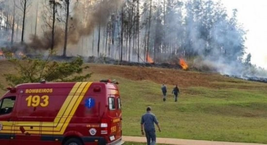 Brazil: May bay lao xuong rung va phat no, 7 nguoi thiet mang hinh anh 1