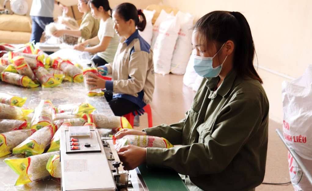 Công nhân Công ty CP Thương mại và Dịch vụ Bình Liêu đóng gói sản phẩm miến dong Bình Liêu.