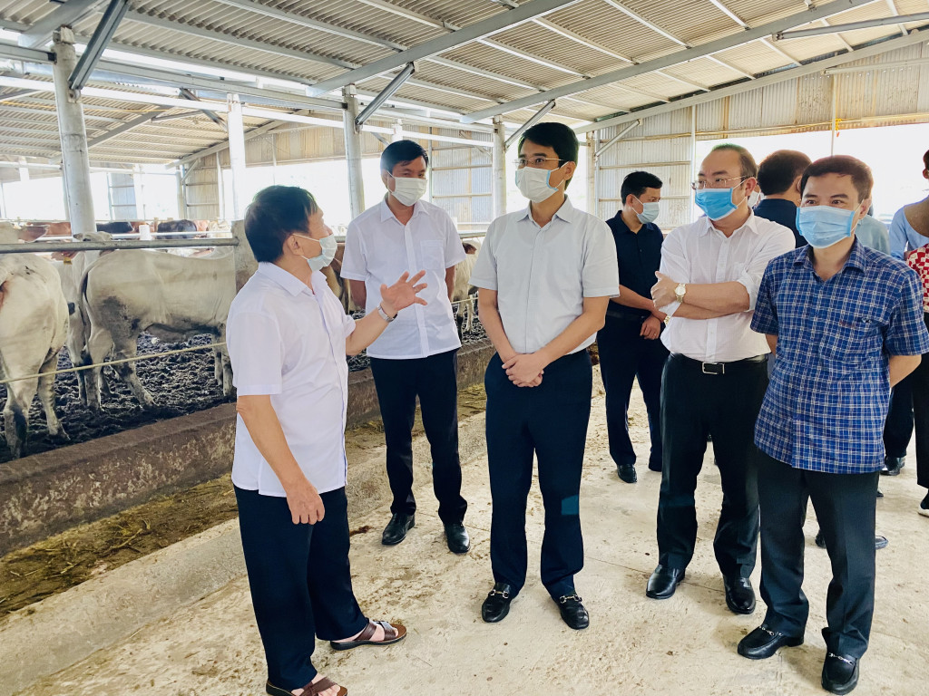 Đồng chí Phạm Văn Thành, Phó chủ tịch UBND tỉnh đánh giá cao sự nỗ lực, quyết tâm của doanh nghiệp đầu tư vào lĩnh vực nông nghiệp của Quảng Ninh theo hướng công nghiệp.