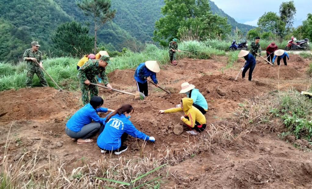 Các lực lượng giúp người dân khu Trình Tường trồng mận.
