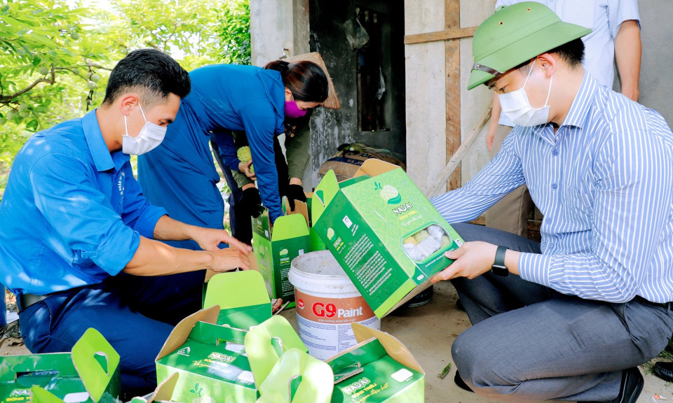 Gần 90% sản lượng na dai Đông Triều đã được tiêu thụ