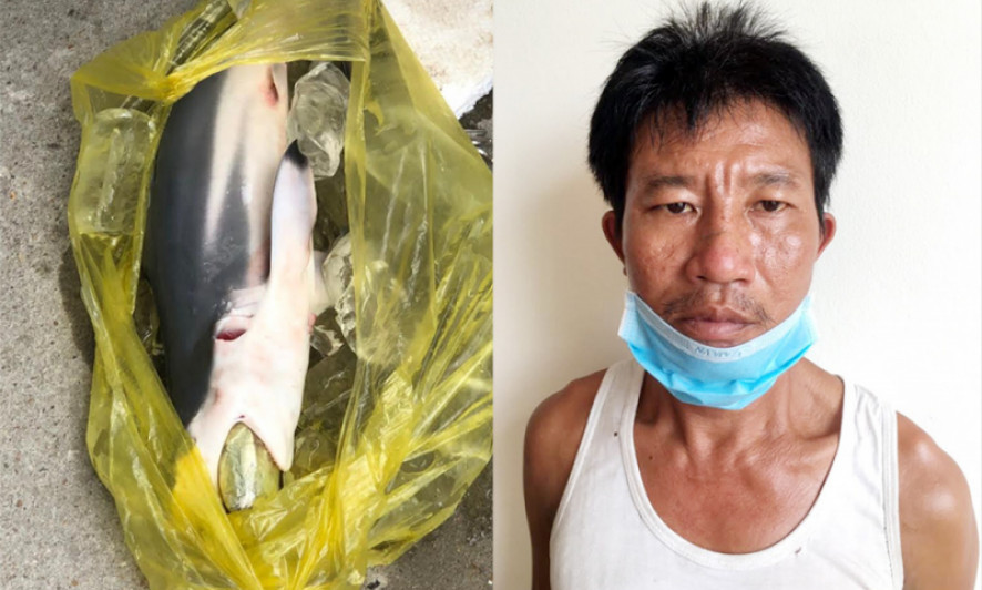 Con nghiện "nhồi" ma túy vào bụng cá