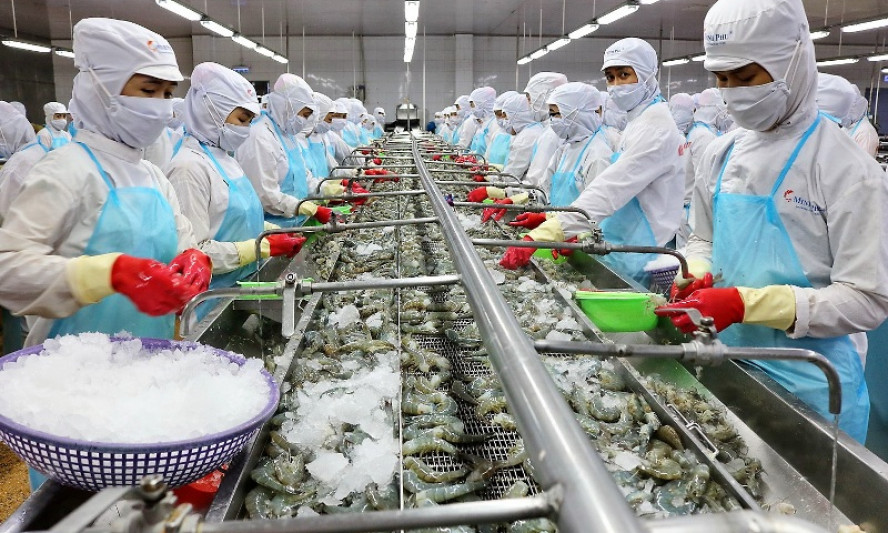 Tháo gỡ khó cho ngành tôm trong bối cảnh dịch bệnh