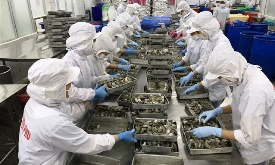 Bàn giải pháp tháo gỡ khó khăn cho ngành thủy sản