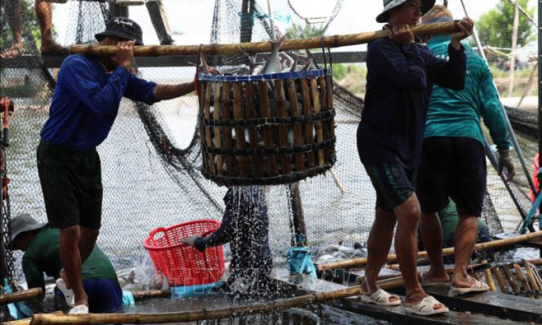 Hàng nông, lâm, thủy sản xuất siêu khoảng 3,3 tỷ USD