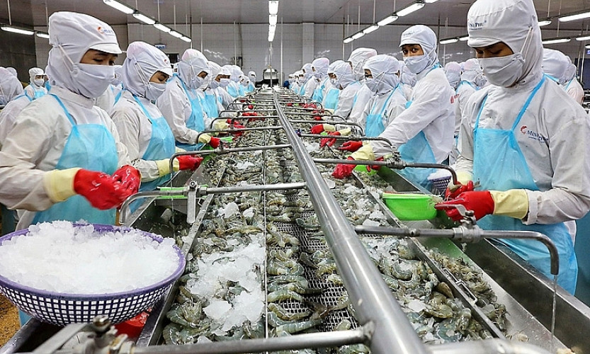 Xuất khẩu thủy sản: Không để trễ nhịp so với cơ hội thị trường