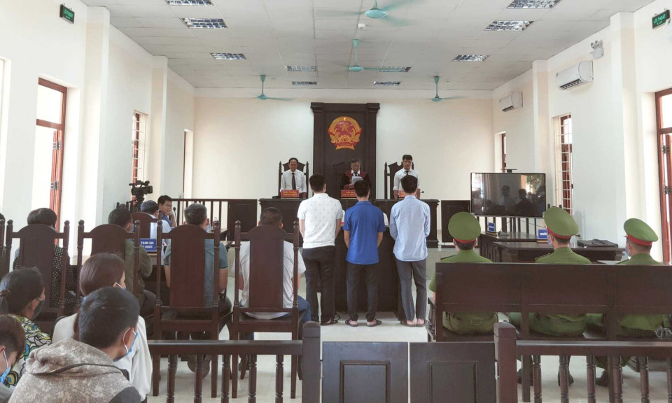 Bài học cho những kẻ phá rừng