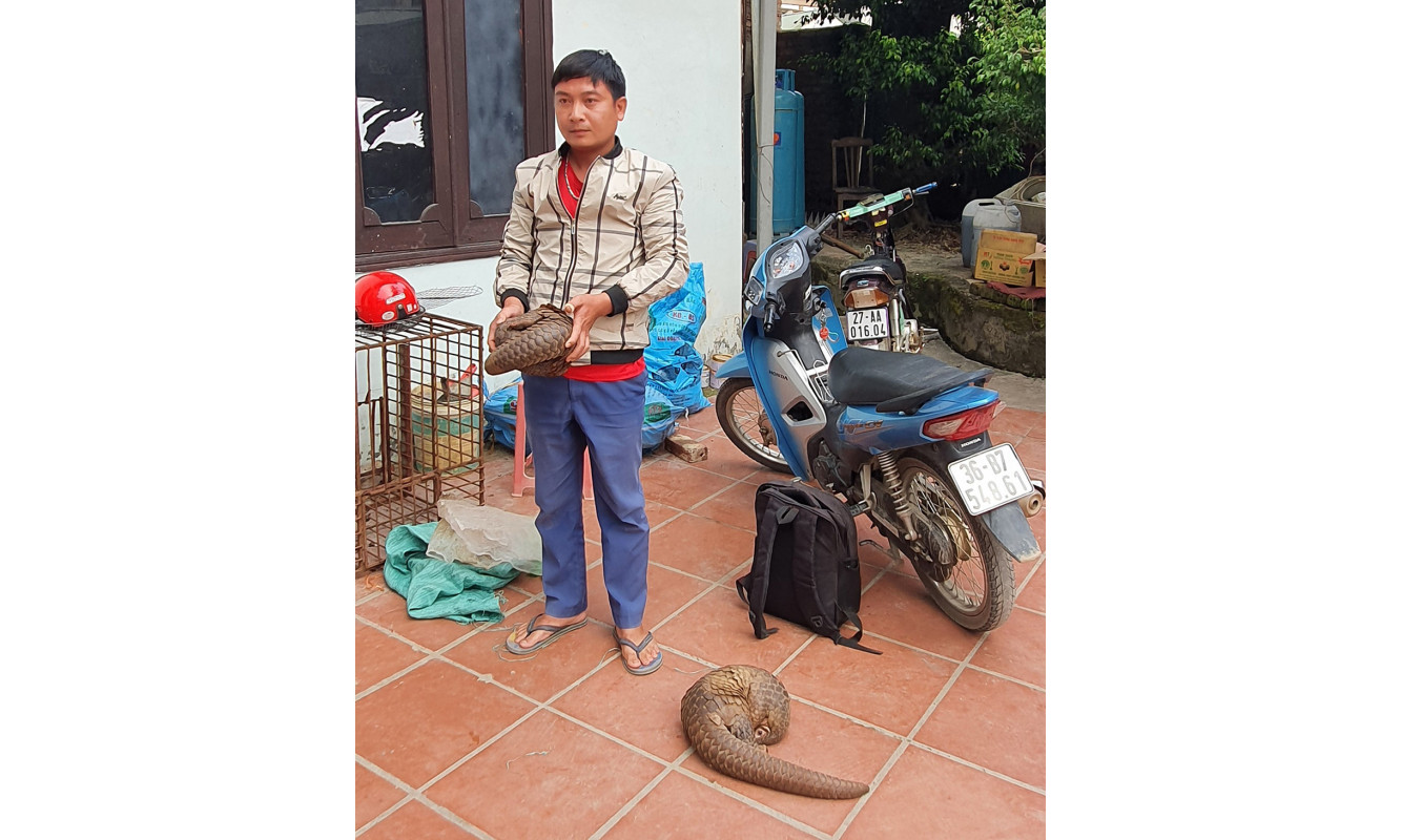 Phi vụ vận chuyển tê tê bất thành