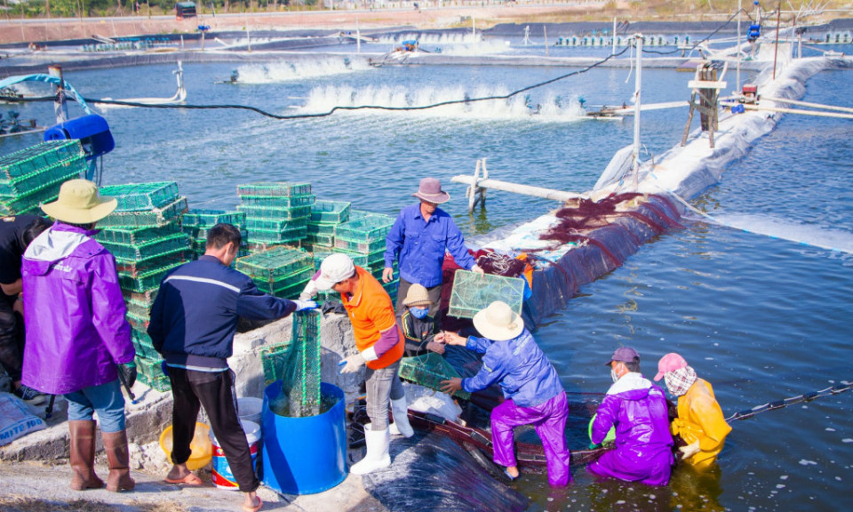 Quang Ninh expands agro-food consumption networks 