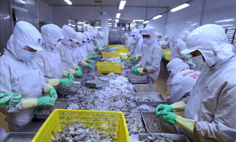 Nhu cầu thủy sản của EU hồi phục, cơ hội cho Việt Nam đẩy mạnh xuất khẩu