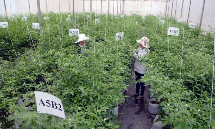 Giải ngân vốn đầu tư công ngành nông nghiệp đạt trên 50%