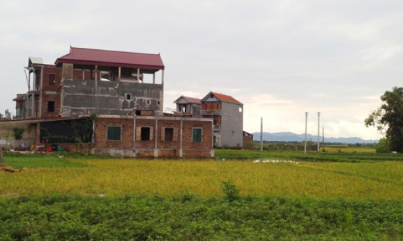 Quy định về xử lý vi phạm xây nhà trên đất nông nghiệp