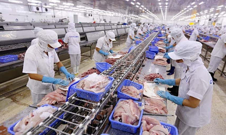 Mỏ vàng tỷ USD bị vứt bỏ, lẫn trong rác bẩn ở Việt Nam