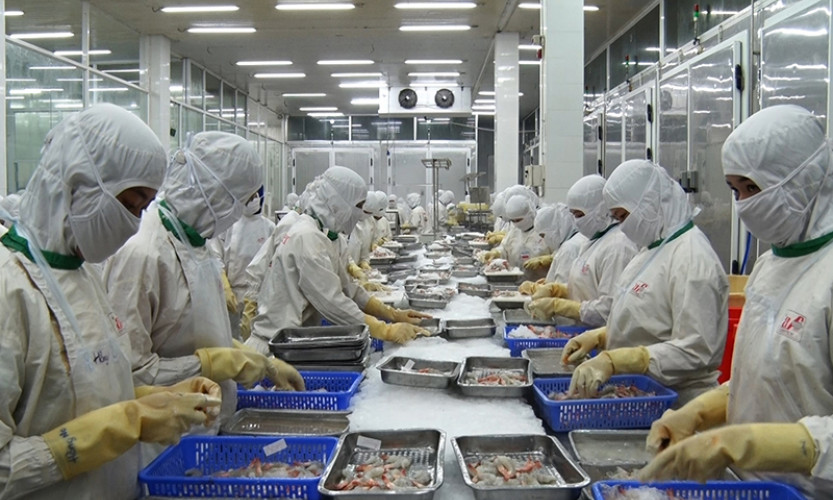 Tiếp sức cho doanh nghiệp khôi phục sản xuất