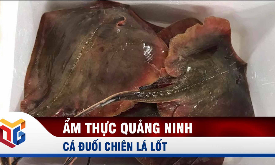 Cá đuối chiên lá lốt