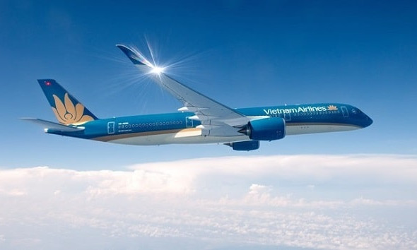 Aviation authority puts forward domestic flight resumption plan