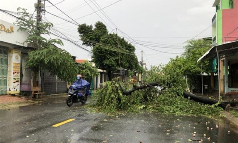 Khu vực đồng bằng và ven biển Bắc Bộ, Thanh Hóa, Nghệ An có mưa to