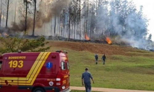 Brazil: Máy bay lao xuống rừng và phát nổ, 7 người thiệt mạng