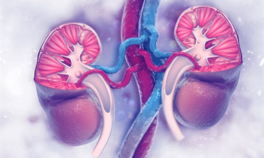 Bệnh COVID-19 có thể gây suy thận mạn tính
