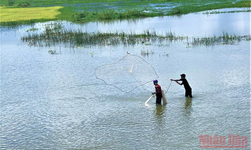 Thơ mộng hồ Lắk giữa đại ngàn Tây Nguyên