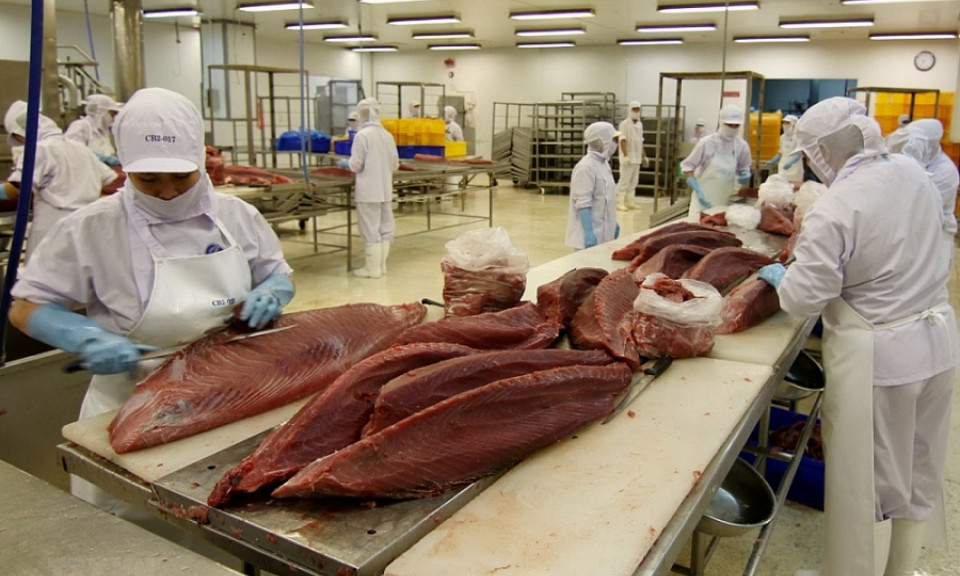 Xuất khẩu thủy sản sang EU: Lực đẩy từ EVFTA