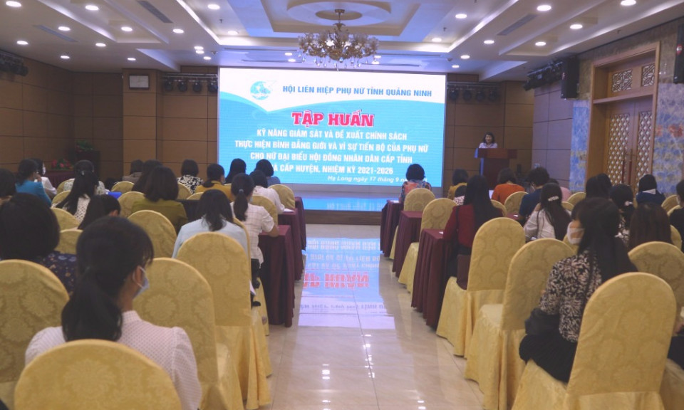 Hội LHPN tỉnh: Tập huấn kỹ năng giám sát và đề xuất chính sách thực hiện bình đẳng giới