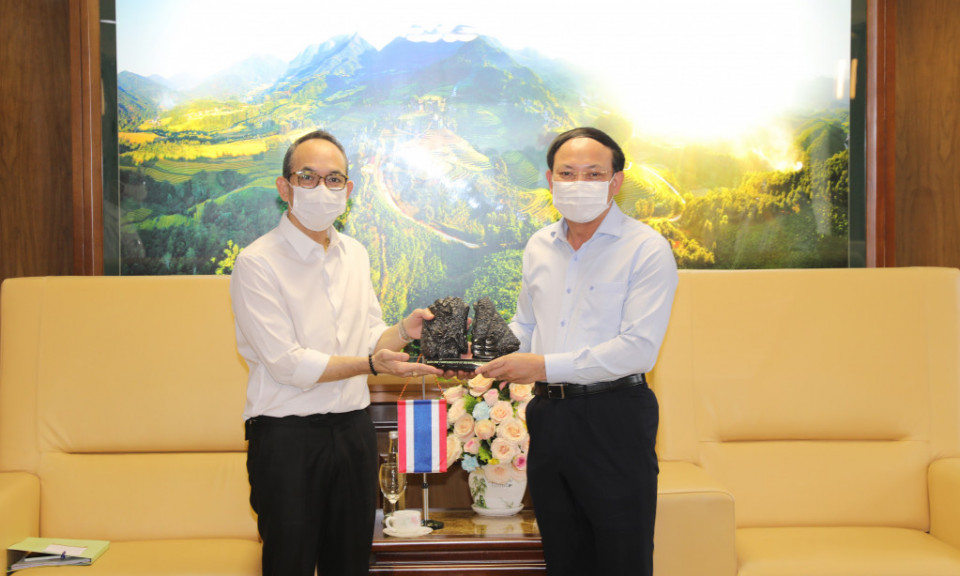 Provincial Party Secretary received the Ambassador of Thailand to Vietnam