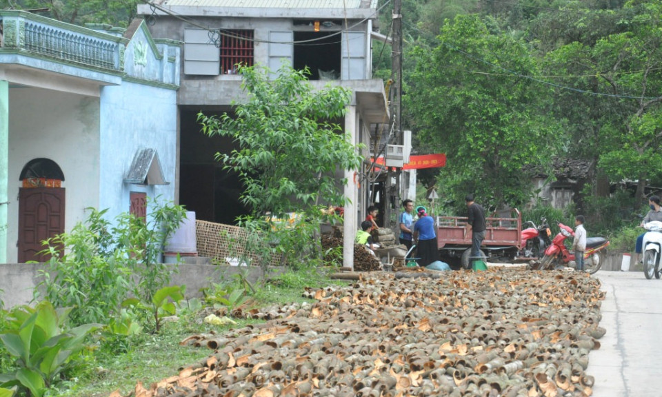 Làm giàu từ rừng