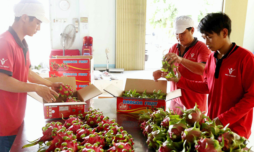 Tiếp sức cho doanh nghiệp nông nghiệp