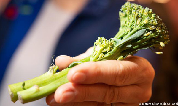 Vitamin C cần thiết cho hệ miễn dịch và chống nhiễm trùng