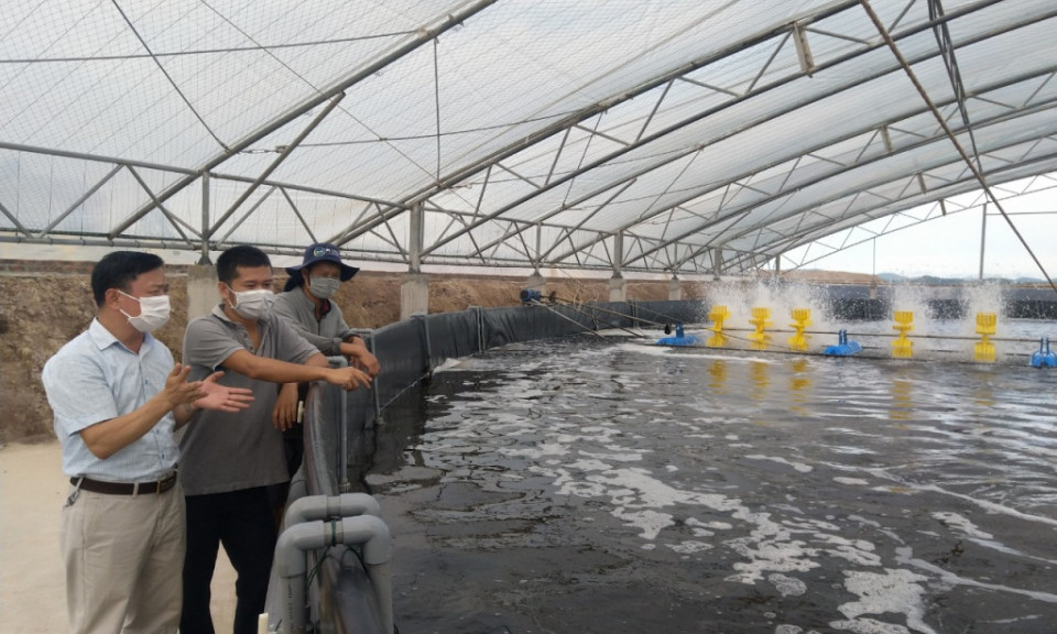 Chủ động bảo vệ nuôi trồng thủy sản trong mùa mưa bão