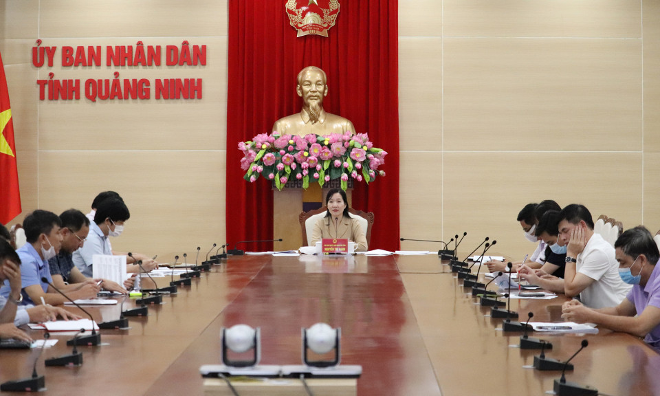 UBND tỉnh nghe báo cáo quy hoạch về phát triển lĩnh vực y tế và du lịch 