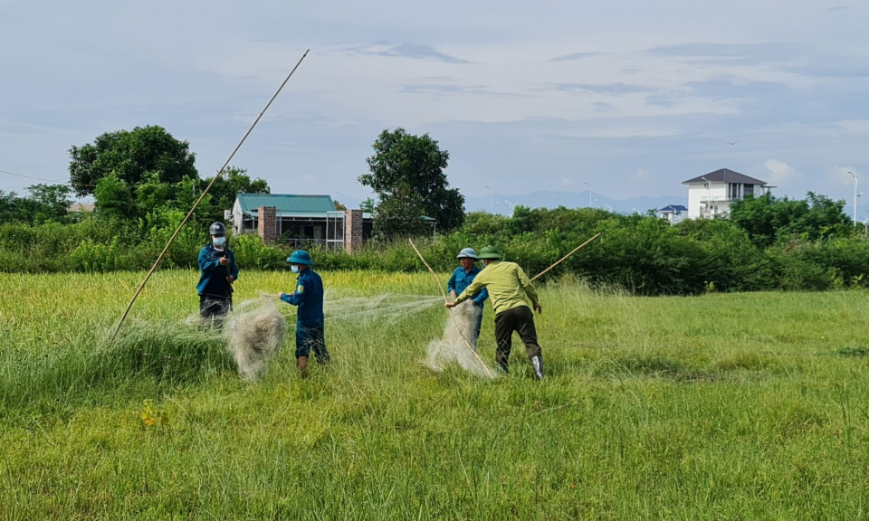 Móng Cái: Ra quân xử lý nghiêm tình trạng săn bắt chim di cư
