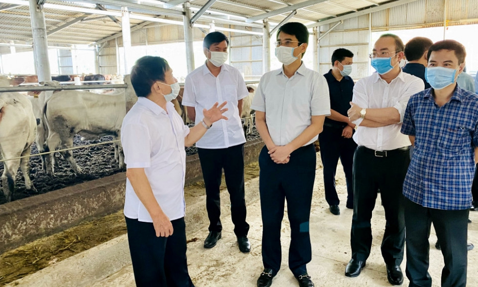  Gỡ "nút thắt" thu hút đầu tư vào nông nghiệp