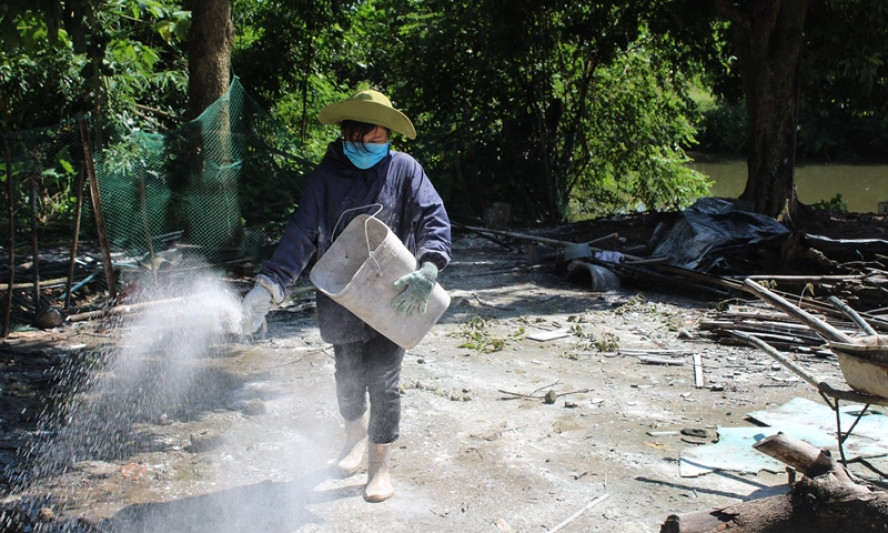 TP Móng Cái: Khoanh vùng ổ dịch tả lợn châu Phi 
