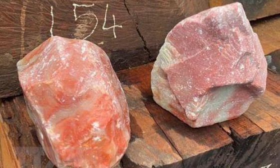Phát hiện 7 container chứa đá quý, gỗ lậu từ Lào về Việt Nam