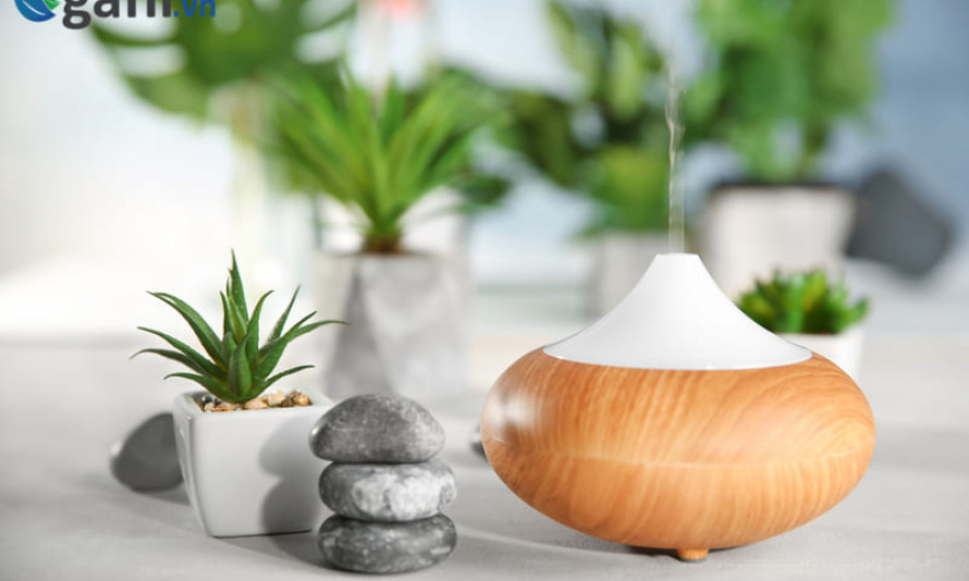 Khuyến cáo mới nhất, không xông tinh dầu trong phòng ngủ có trẻ dưới 30 tháng