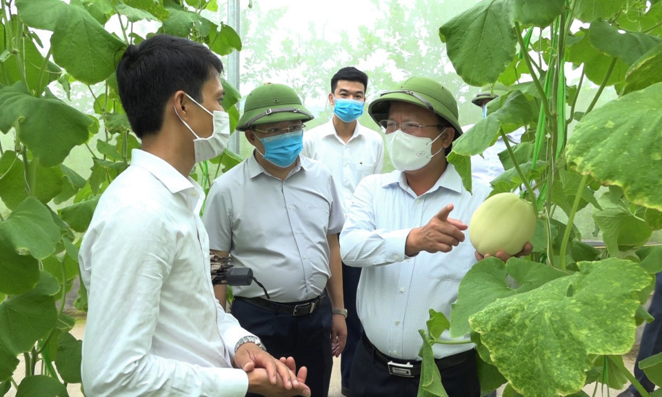 Sẵn sàng cho vụ đông thắng lợi