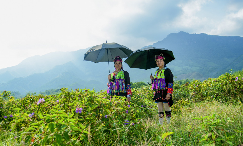 Nét đẹp trang phục truyền thống của phụ nữ Dao Thanh Y ở Hải Hà