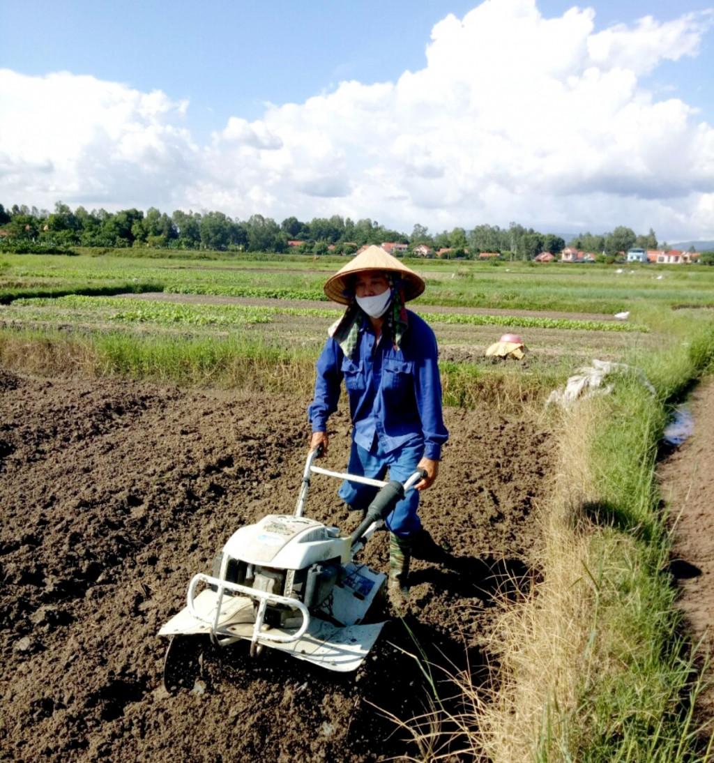 Áp dụng công nghệ vào sản xuất rau an toàn tại Việt Long.