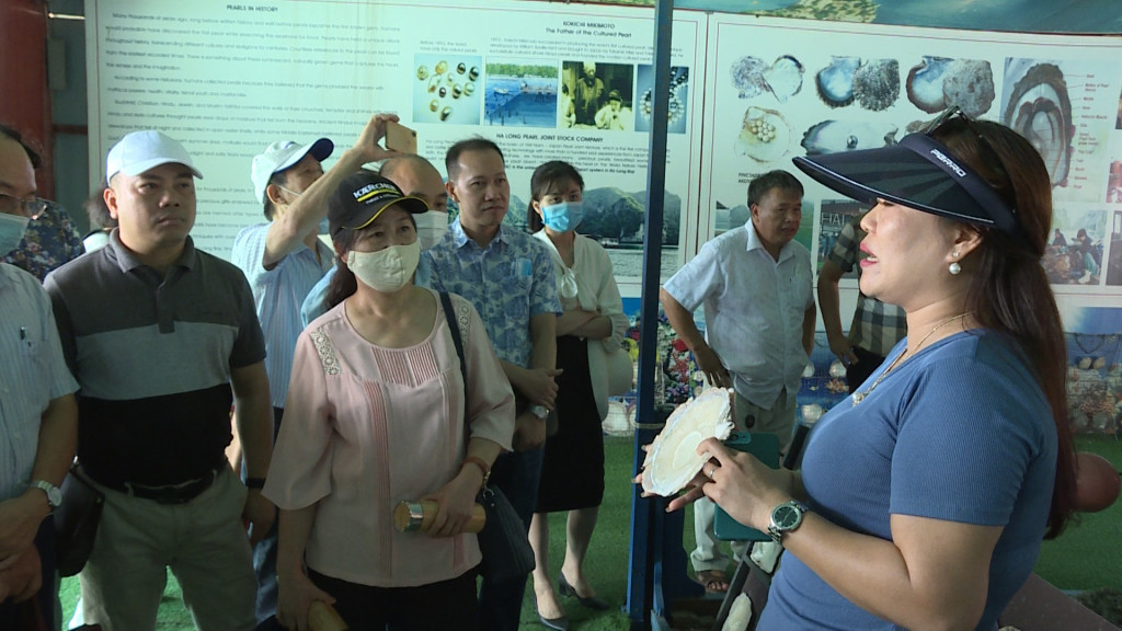 Hiệp hội du lịch Quảng Ninh tham quan và khảo sát tại Trang trại nuôi trai ngọc trên Vịnh Hạ Long của Công ty CP Ngọc trai Hạ Long.