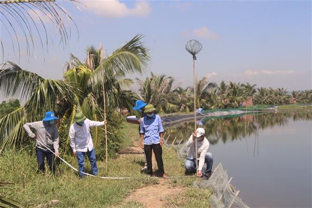 Officials examine a site for land clearance in Quang Yen town. (Photo: VNA)
