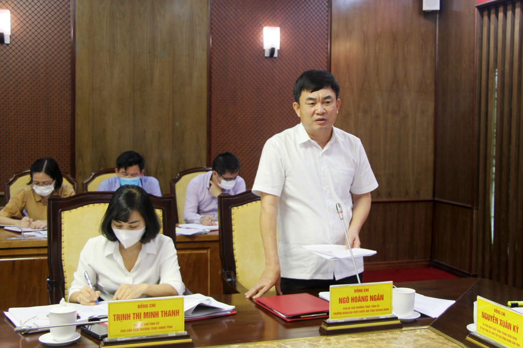 Đồng chí Ngô Hoàng Ngân, Phó Bí thư Thường trực Tỉnh ủy, Trưởng Đoàn ĐBQH tỉnh, phát biểu tại cuộc họp.