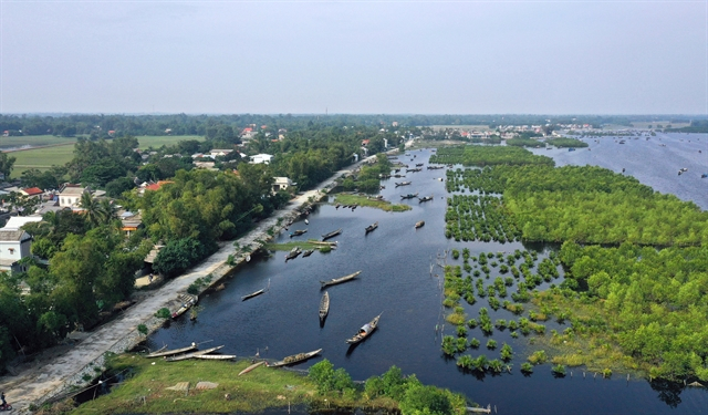 An aerial view of a mangrove in Quảng Điền District of the central province of Thừa Thiên Huế. — VNA/VNS Hồ Cầu