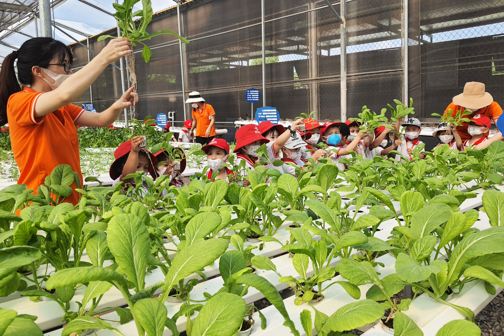 Green farm 188 Đông Triều không chỉ là nơi đưa ra thị trường sản phẩm rau thủy canh sạch mà còn là địa điểm lý tưởng để tổ chức các hoạt động trải nghiệm nông nghiệp.