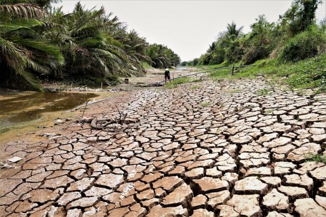 A dried up canal in Gò Cấp Township, the Mekong Delta Province of Tiền Giang, after a historic episode of drought and salt intrusion hitting the southern region in March. VNA/VNS Photo Vũ Sinh