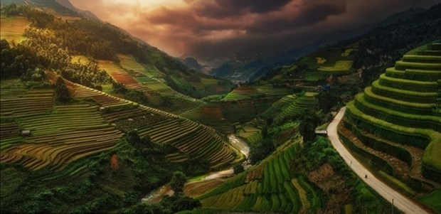 The terraced fields captured by Spanish photographer Felipe Souto. (Photo courtesy of Felipe Souto)