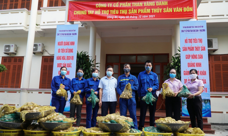 Công ty CP Than Vàng Danh hỗ trợ tiêu thụ trên 3 tấn ngao Vân Đồn