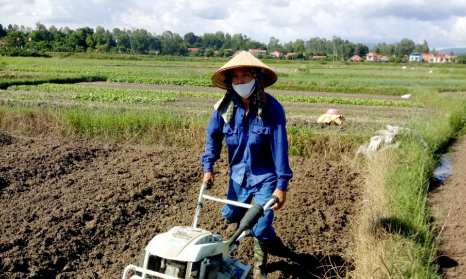 Xây dựng vành đai rau xanh an toàn
